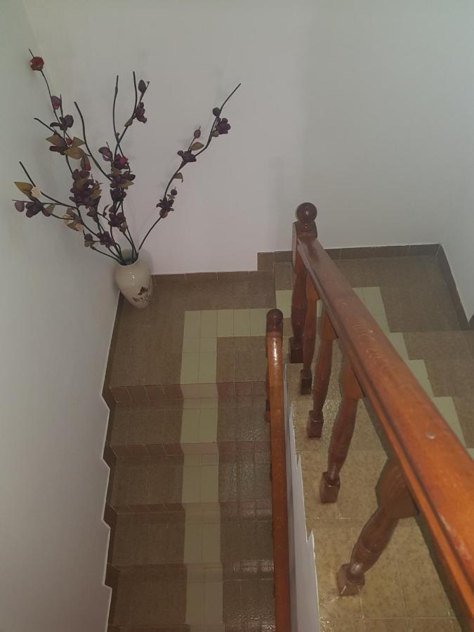 Sobe I Apartmani Marovic Petrovac Екстериор снимка